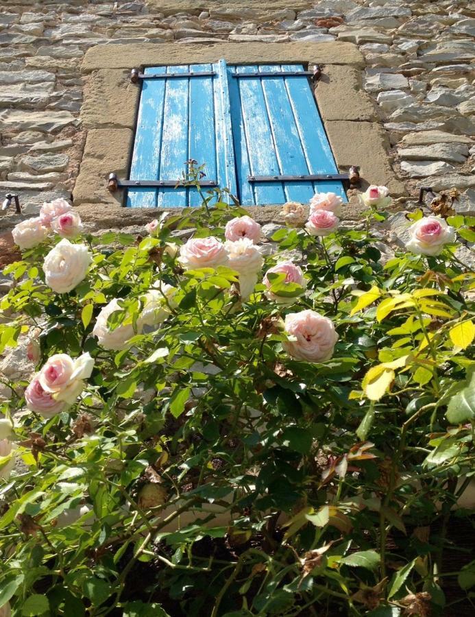 L'Autre Maison Saint-Jean-de-Ceyrargues Eksteriør billede
